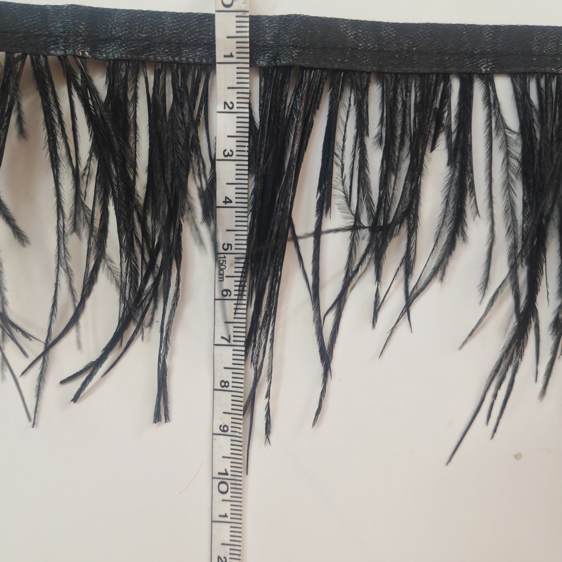 ริบบิ้นขนนกกระจอกเทศสีดำ ขนาด  - Fringe Ribbon Sewing บทวิจารณ์และราคา
